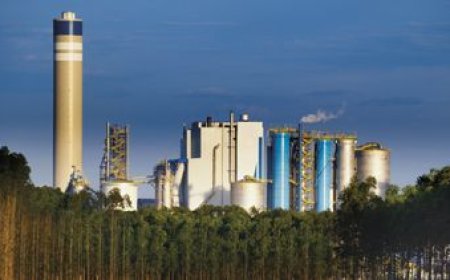 Brasil puso en marcha una megaplanta de celulosa y aumenta la competencia regional