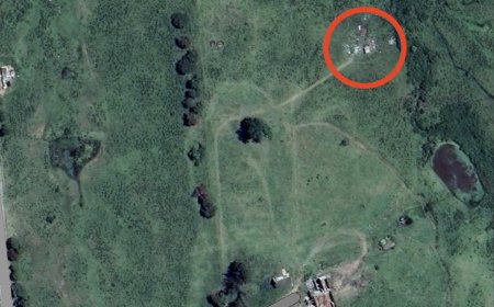 Hallazgo de un cuerpo sin vida en estado de descomposición - Homicidio