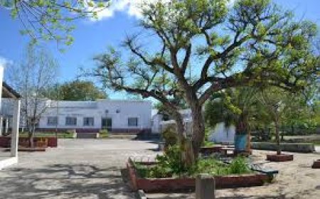 Hurto en Escuela Nro. 9