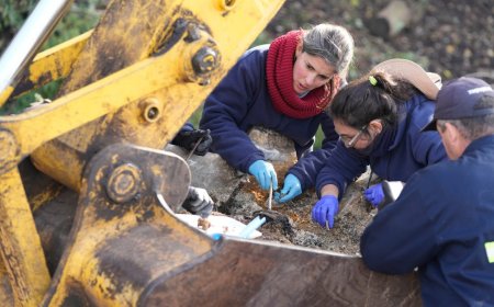 Nuevo hallazgo de restos humanos en el Batallón 14