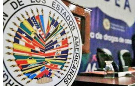 La OEA calificó los resultados electorales en Venezuela como "una manipulación aberrante"
