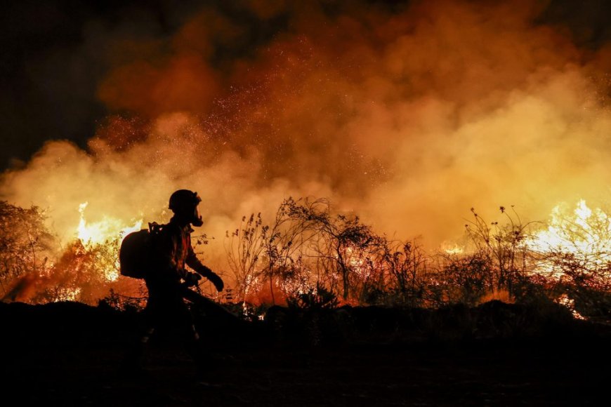 Los incendios en el Pantanal de Brasil baten un récord histórico