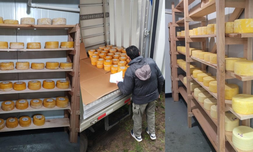 Los quesos producidos por la Escuela Agraria de Rocha llegaron a Montevideo