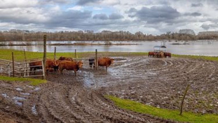 El agro advierte por la falta de medidas de alivio en más de dos meses de emergencia agropecuaria