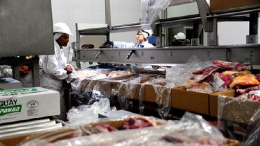 El MGAP avanza en negociaciones para exportar carne sin aranceles a China