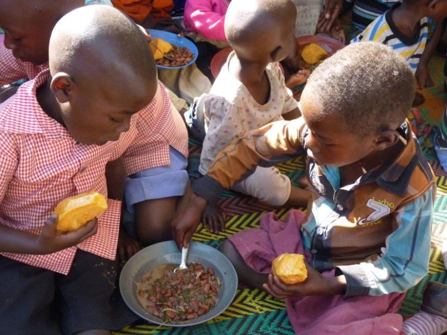 ONU: Más de 270.000 niños sufrirán desnutrición «mortal» en seis países de África en 2024