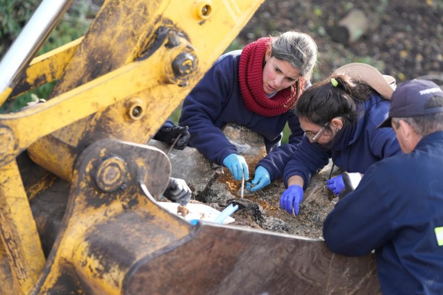 Nuevo hallazgo de restos humanos en el Batallón 14