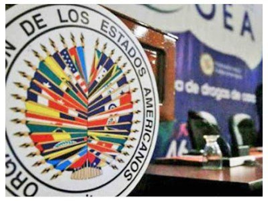 La OEA calificó los resultados electorales en Venezuela como "una manipulación aberrante"