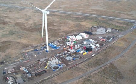 Japón anunció inversión en proyectos de HIF en cuatro países, incluido Uruguay