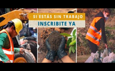 Información sobre Programa Oportunidad Laboral