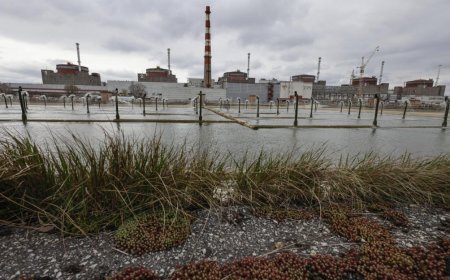 Empresa rusa acusa a Kiev de atacar deliberadamente la central nuclear de Zaporiyia