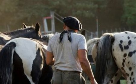 Los peones rurales reclaman por congelación del salario y recortes en los aumentos previstos