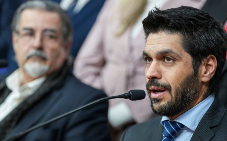 Antes de declarar la emergencia en seguridad, hay que tener medias concretas, dijo Ojeda