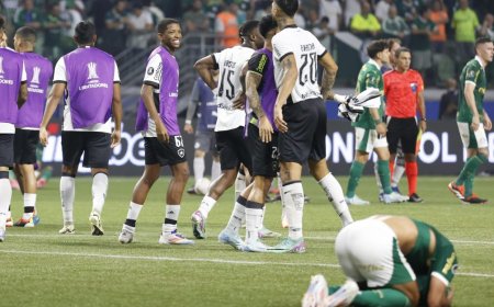 Botafogo eliminó a Palmeiras y es el posible rival de Nacional en cuartos
