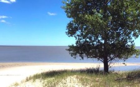 El Tribunal de Apelaciones rechazó la recusación de OSE en un nuevo revés para el proyecto Arazatí