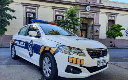 PERSONA CONDENADA - POR HURTO EN INTERIOR DE VEHÍCULO