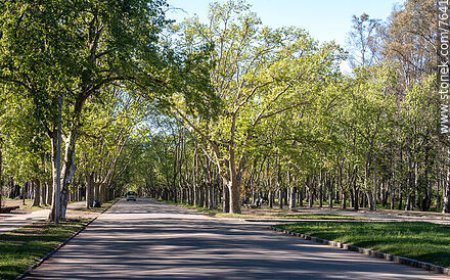 Grave Siniestro de Tránsito en Avenida W. Churchill
