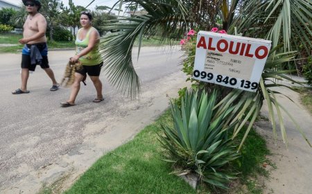 Vivienda turística: proyecto aprobado en Senado incluye alquileres mayores a 120 días