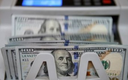 El dólar subió y se encamina a cerrar el mes en terreno positivo