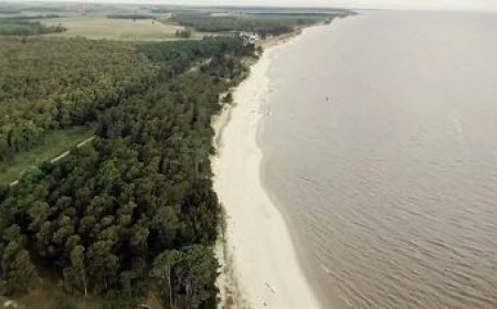 Proyecto Arazatí: el gobierno sigue avanzando pese a los frenos jurídicos