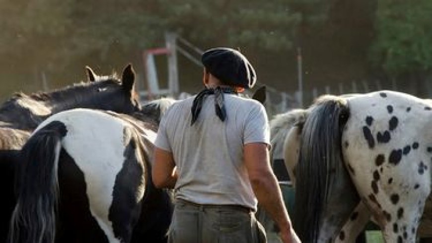 Los peones rurales reclaman por congelación del salario y recortes en los aumentos previstos