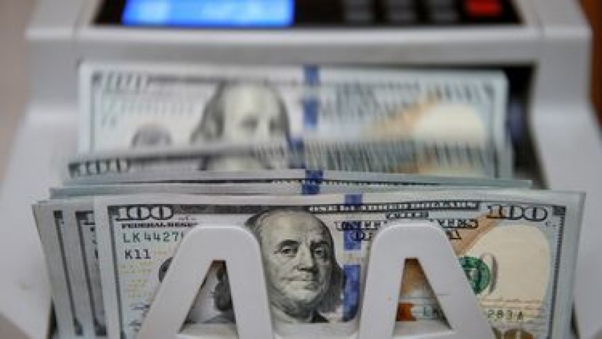 El dólar subió y se encamina a cerrar el mes en terreno positivo