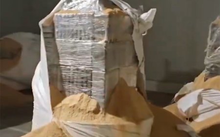 Portugal: incautan 3,6 toneladas de cocaína que habrían pasado por el puerto de Montevideo