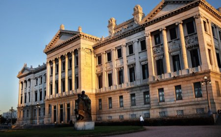 Comisión del Senado aprobó proyecto que crea el delito de enriquecimiento ilícito