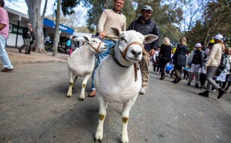 Comienza este viernes la Expo Prado