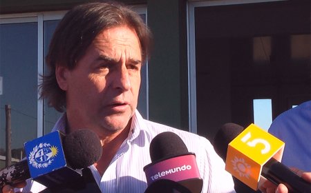 Dirección de Aduanas inició investigación por contenedor con cocaína incautado en Portugal