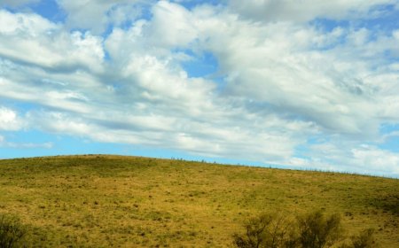Prevén primavera con pocas lluvias y más temperatura