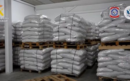 Otra vez incautan en Europa droga que pasó por Montevideo y no fue detectada: esta vez fueron 4 toneladas