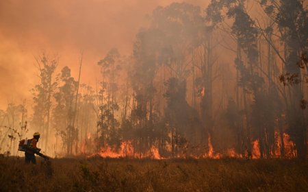 MSP advierte por humo procedente de incendios forestales de la región