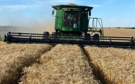 Crece la tensión del agro con el gobierno por un nuevo reclamo ignorado