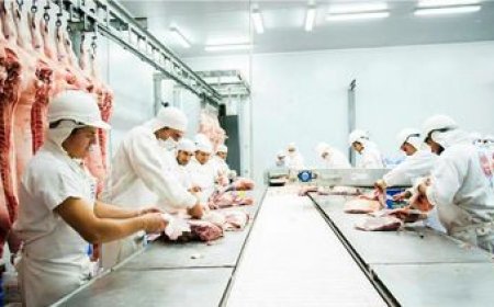 Crisis en frigoríficos: el endeudamiento del sector está en su nivel más alto del año