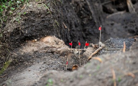 Desaparecidos: este lunes se retoman excavaciones detrás del Batallón 13