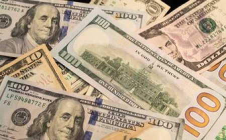 El dólar cayó tras cinco jornadas, pero igual firmó su tercera suba semanal al hilo
