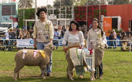 Broche de oro para UTU: con Reservada y Gran Campeona la Escuela Agraria La Carolina dio un gran cierre