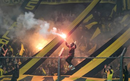 «Si se respeta el protocolo, no va a pasar nada grave», afirmó cónsul uruguayo