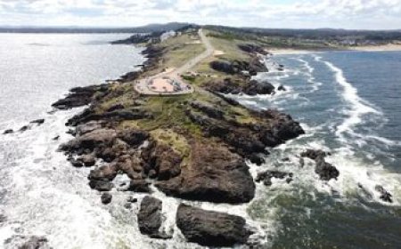 El gobierno le baja el pulgar al proyecto de Punta Ballena por "impactos ambientales negativos"