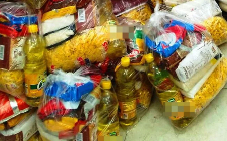 Entrega de Canastas Complemento Alimentario