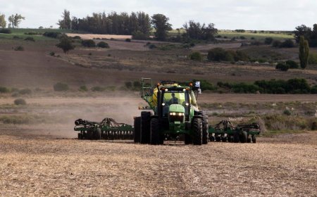 Uruguay cumplirá con la certificación solicitada por UE para carne, soja y celulosa