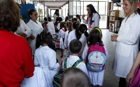 Comienza el proceso de inscripciones en las escuelas