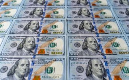 El dólar completó una semana entera al alza y se apreció fuertemente
