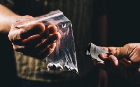 Condena por delitos de suministro de estupefacientes y encubrimiento