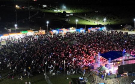 Llamado a Artistas para el 18º Festival del Rosedal