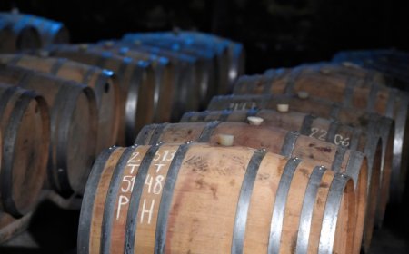 El sector vitivinícola posee stock para dos años y se estima que puede desestimular que los productores continúen en actividad