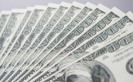 El dólar subió y cerró el mes con una apreciación de 3,24%