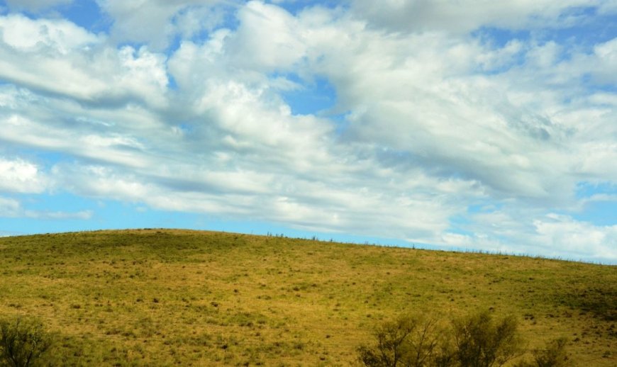 Prevén primavera con pocas lluvias y más temperatura