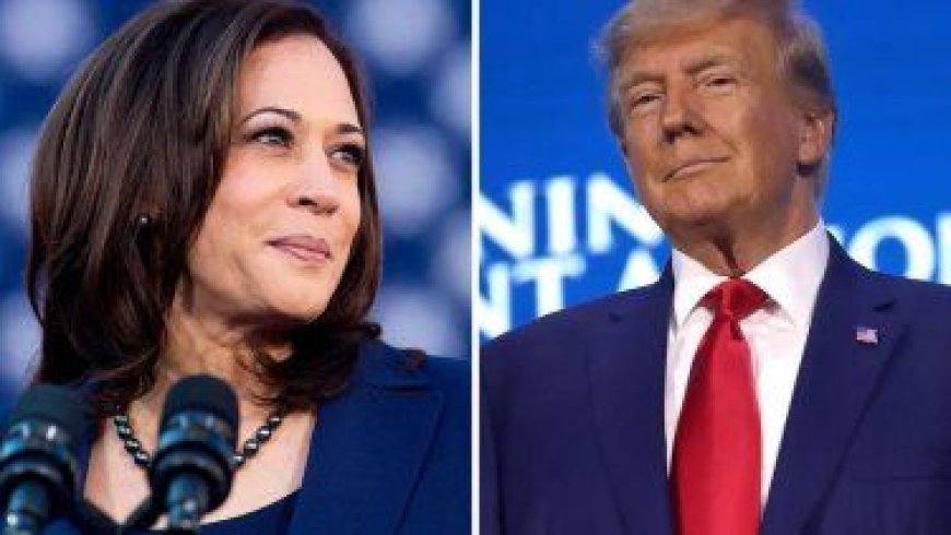 Elecciones en EEUU: ¿Qué esperar del primer debate entre Kamala Harris y Donald Trump?